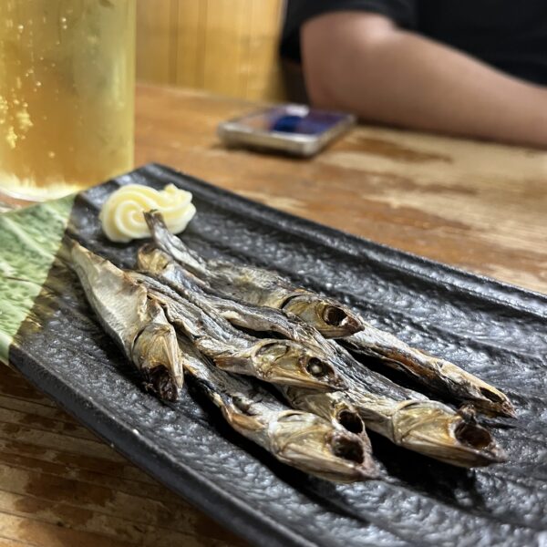 岩金-0909-うるめいわし