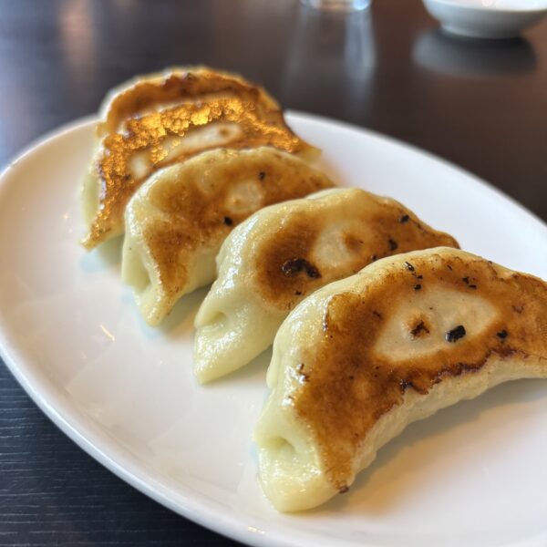 名無し_0916_餃子