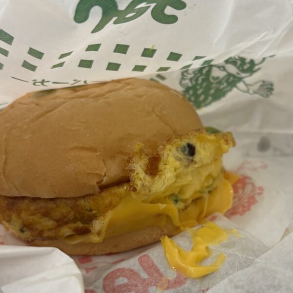 ジェフ-0420-ゴーヤーバーガー